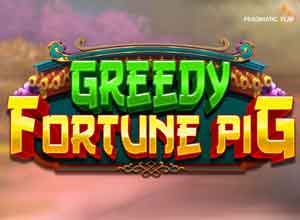 Greedy Fortune Pig